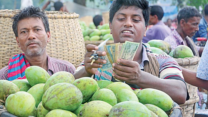 Heatwave Impact on Mango and Litchi Production