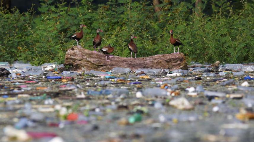 Plastic treaty