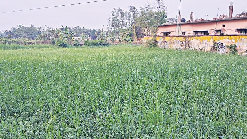 karnaphuli-upazila.jpg