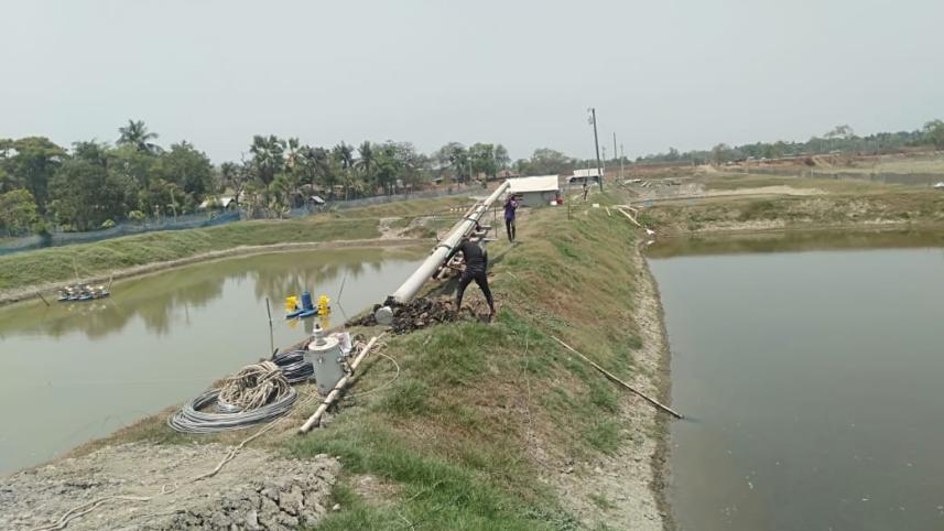 Shrimp farmers fear losses for scorching heatwave