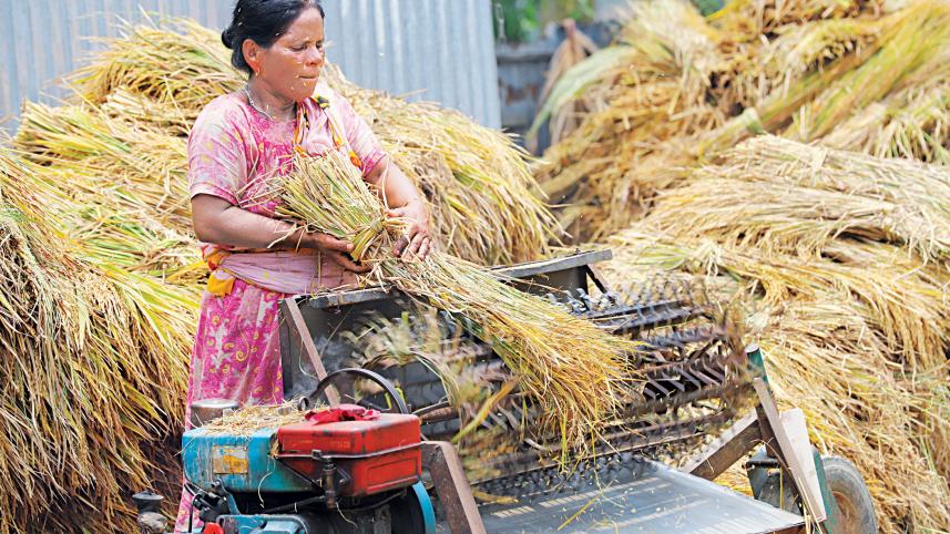 Harvesting progress: Agri loans for women