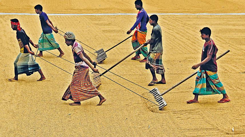 cultivating-prosperity-1.jpg