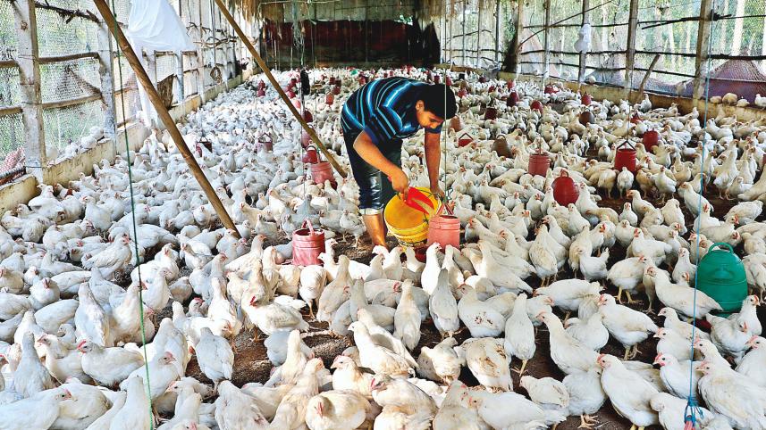 farmers-to-finance-2.jpg
