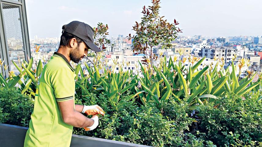 Expert gardening solutions in Dhaka