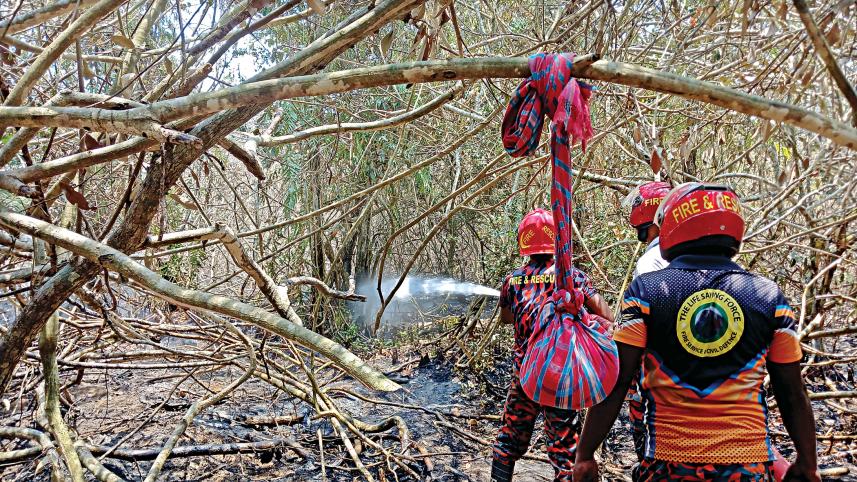 Sundarbans fire: Under control, not entirely doused yet