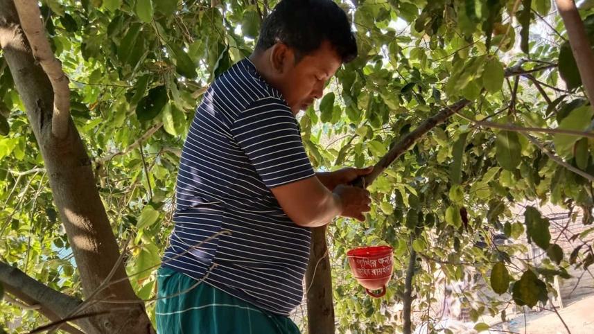 Water pots for birds in Jhenaidah