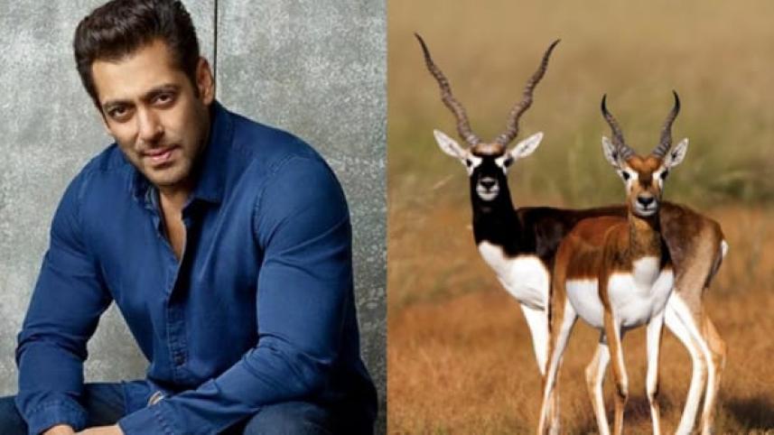 mainsalmankhanvsbishnoicommunity-1715656986.jpg