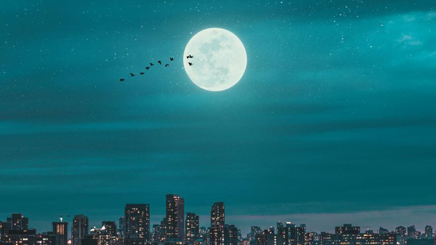 Beauty straight out of fairy tales: Why we can’t stop loving the moon     thula-na-ddj9pnyjric-unsplash.jpg