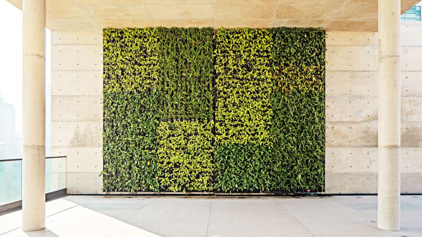 green-saving-green-1.jpg