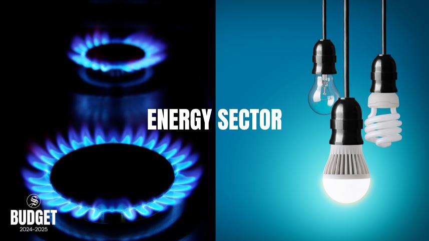 energy sector overlooked in budget 2024-25
