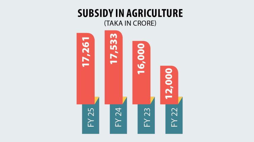 Impact of reduced agricultural subsidy on Bangladeshi farmers
