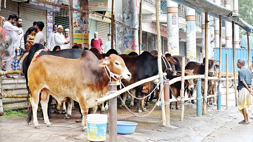 Eid-ul-Azha animal sacrifice and hygiene