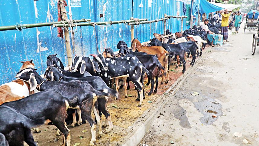 importance of cleanliness during Eid-ul-Azha