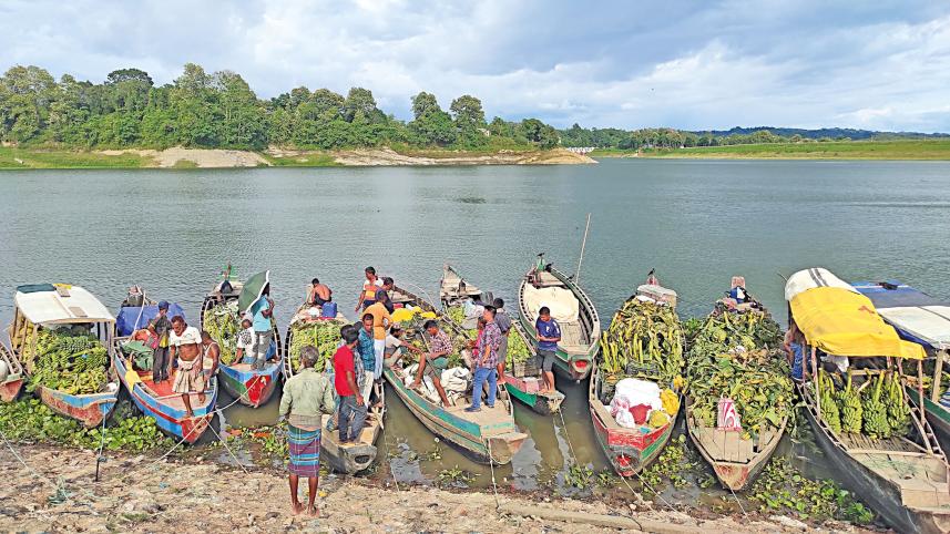 Chittagong Hill Tracts transform into a new hub of agriculture