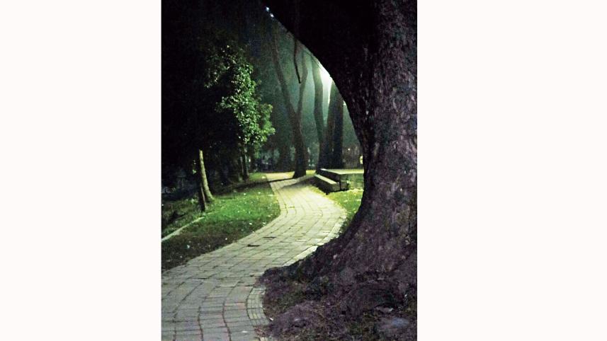 Benefits of evening walks Dhaka