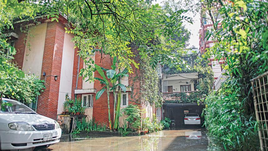 Dhanmondi urban development issues
