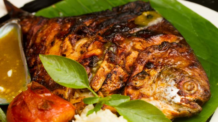 Catch of the day: Seafood recipes you will love