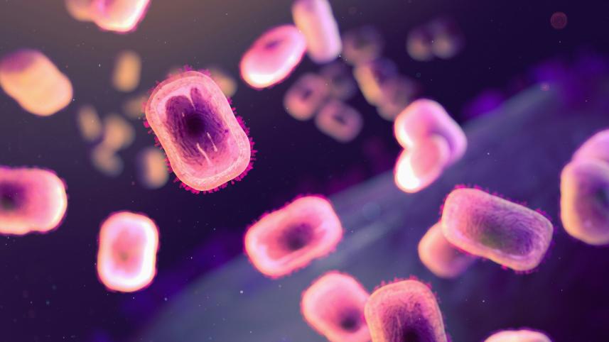 Representational photo mpox