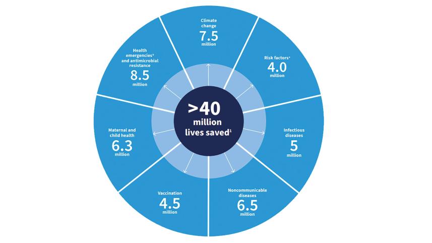health6.jpg