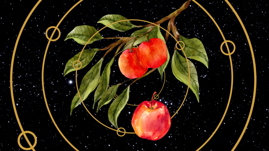 gravity_visual.png