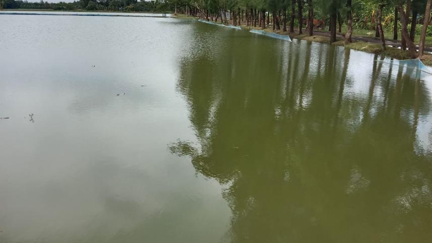 noakhali_fisheries_project_pic_16.jpeg