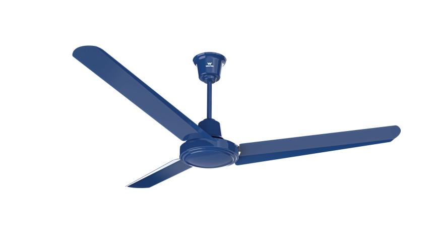 fan1.jpg