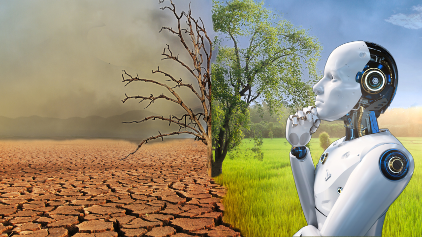 Climate change AI