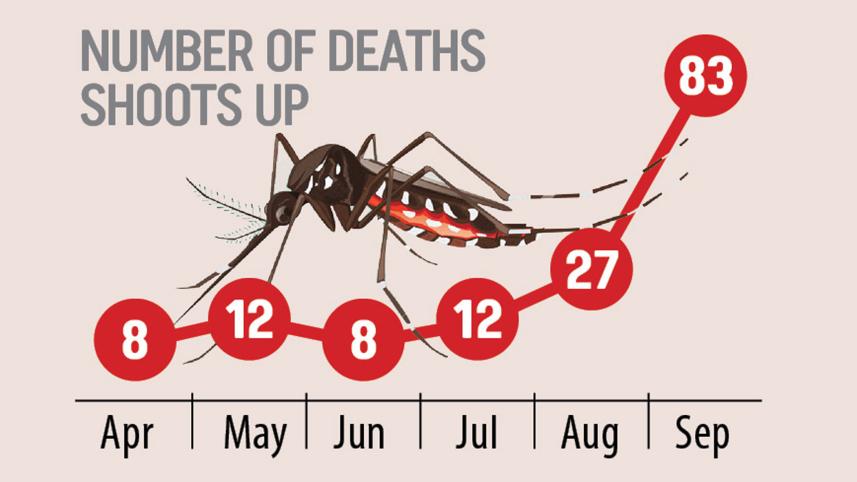 Number of dengue deaths shoots up