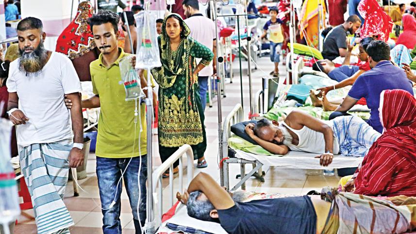 dengue.jpg