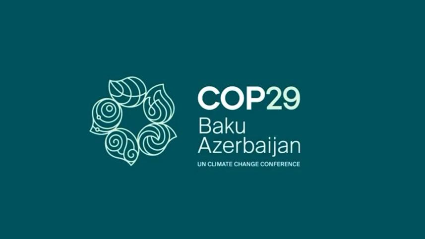 cop29_summit.jpg