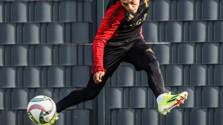 Trossard.jpg