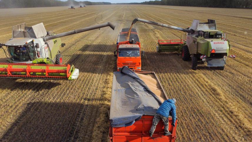 russia_wheat.jpg