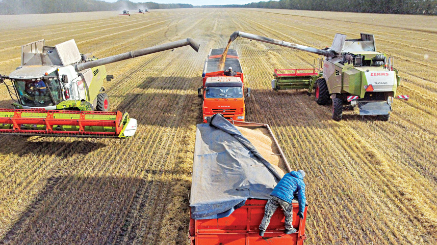 russia_wheat.jpg