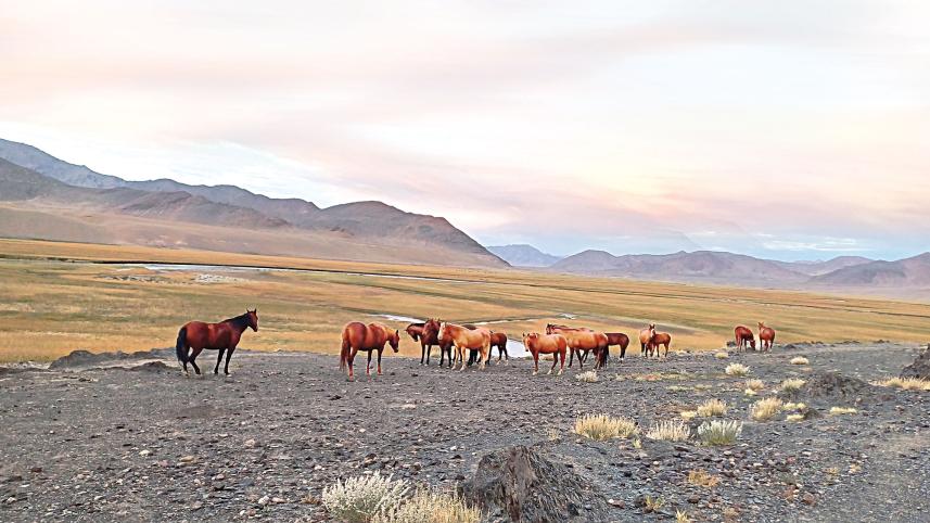 Pamir Highway
