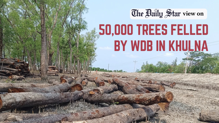 50000 trees felled by WDB in Khulna