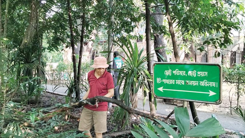 my-dhaka.jpg