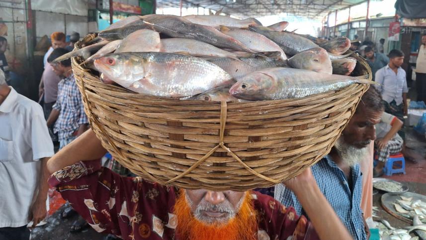 Hilsa-ilish