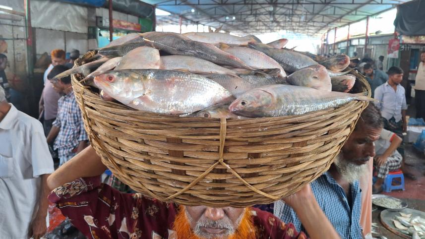 hilsa.jpg