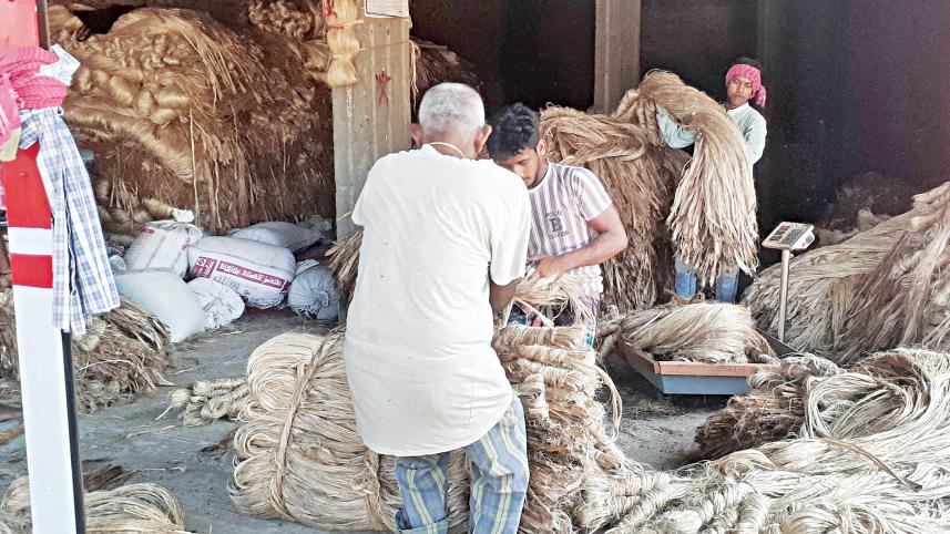 Raw jute price increase Bangladesh 2024