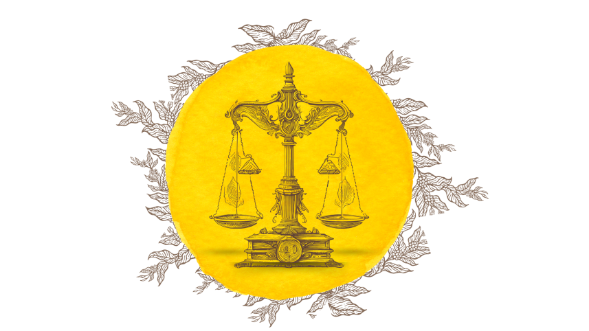 Visual representation of judiciary system