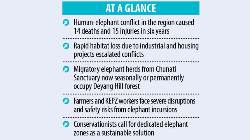 Human-elephant conflict Bangladesh