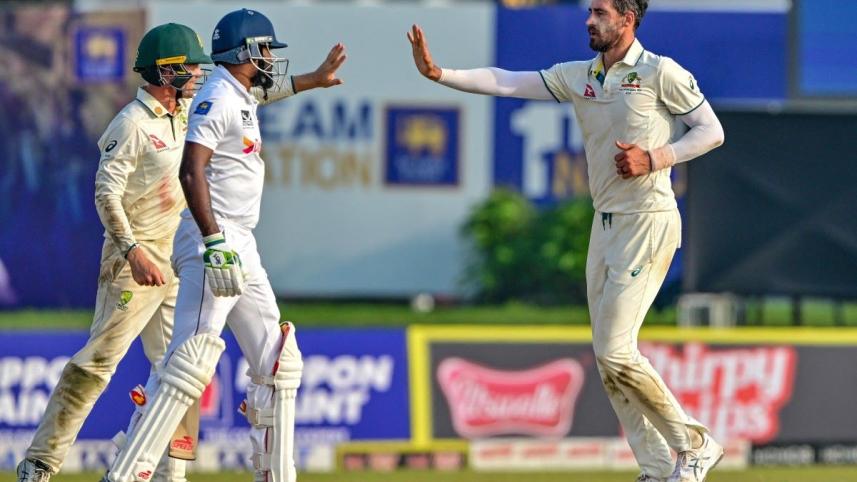 starc_.jpg