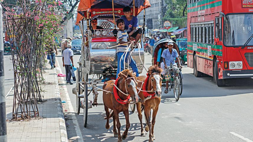 cart1.jpg
