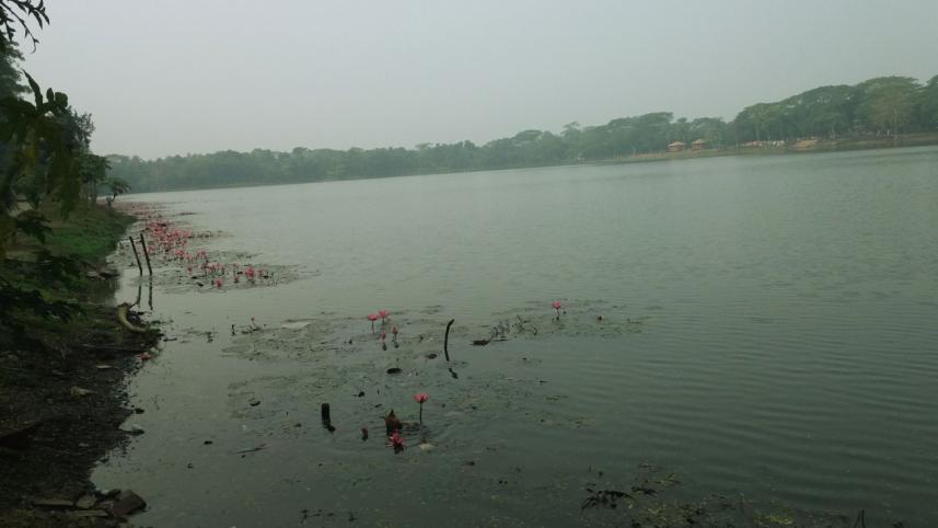 river-web.jpg