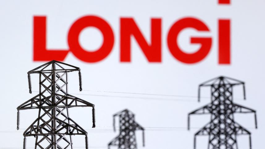 longi.jpg