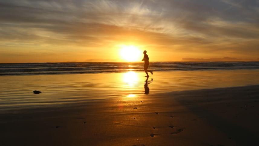 Walk, talk, burn fat: Magic of Zone 2 cardio