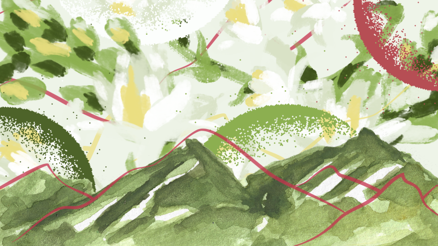 Graphical representation of the fleeting nature of spring