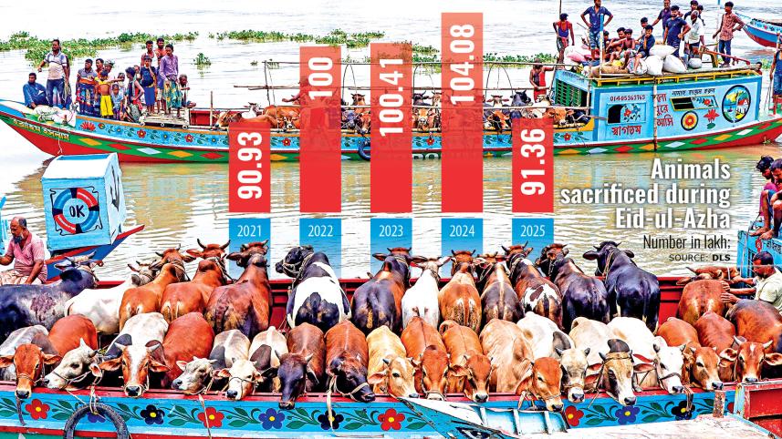 Eid-ul-Azha cattle sales 2025 Bangladesh