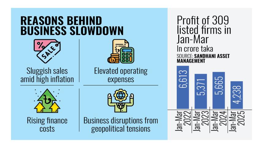  Reasons behind business slowdown