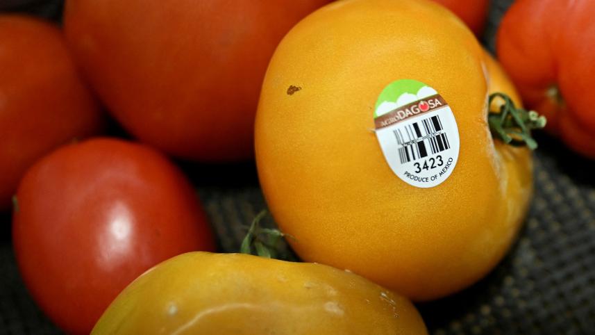 tomatoes.jpg